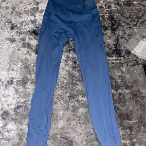 Crossover Hair Resistant Leggings